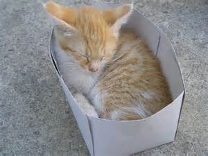 catbox