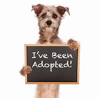 adopt
