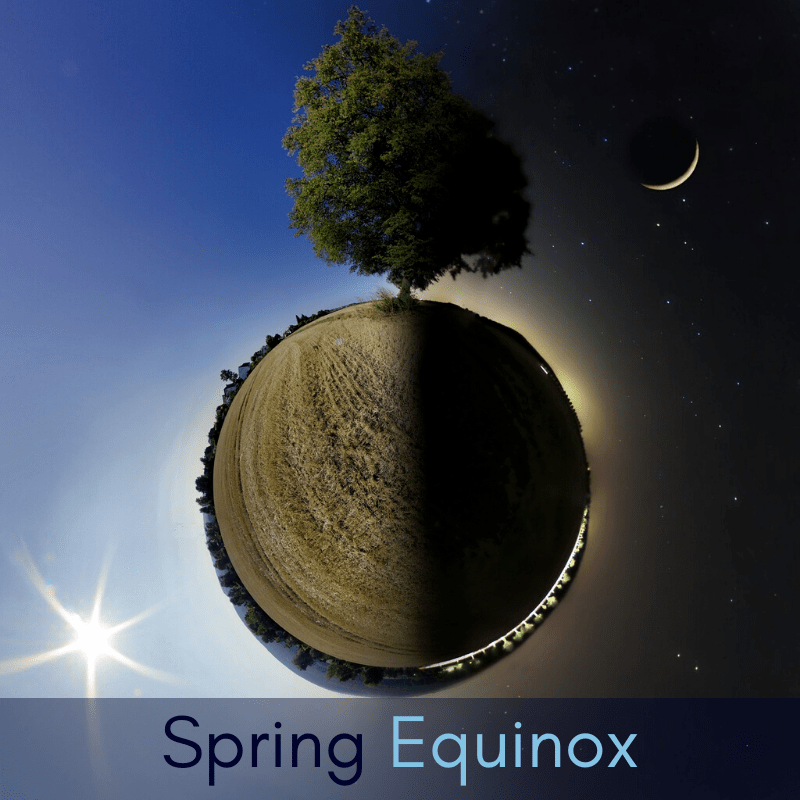 ruzuku-immrama-2020-course-announcements-800-x800p_orig